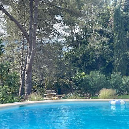 La Villa Des Carriers- Maison Avec Piscine Proche Mer Roquefort-les-Pins Esterno foto