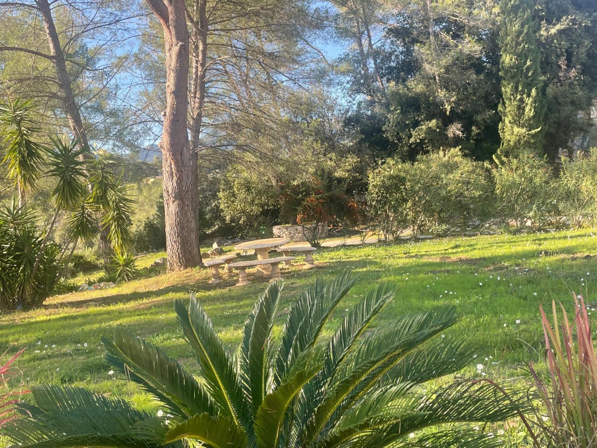La Villa Des Carriers- Maison Avec Piscine Proche Mer Roquefort-les-Pins Esterno foto