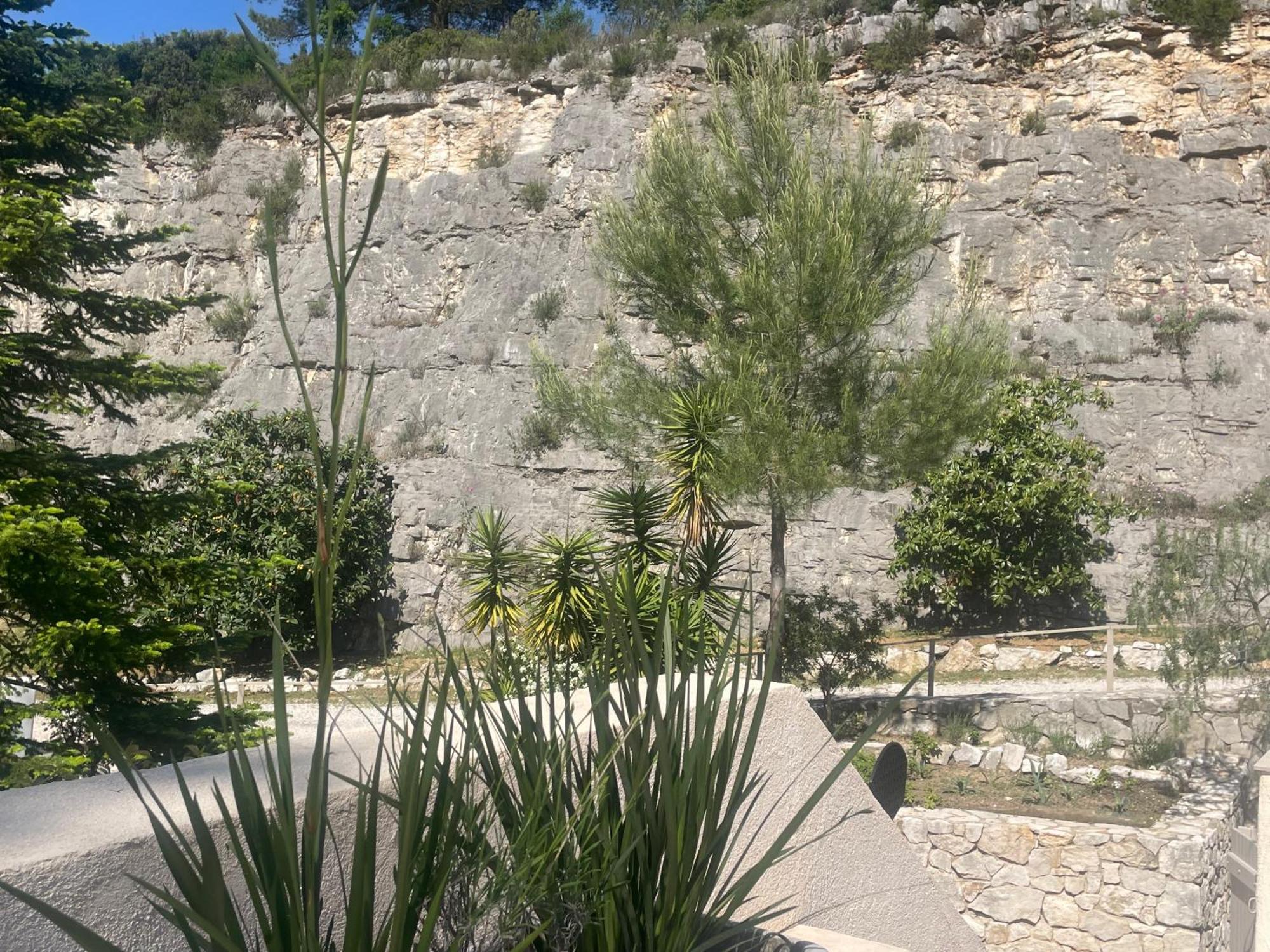 La Villa Des Carriers- Maison Avec Piscine Proche Mer Roquefort-les-Pins Esterno foto